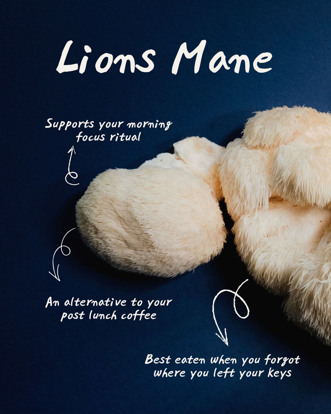 Lion's Mane & Maca Chocolate