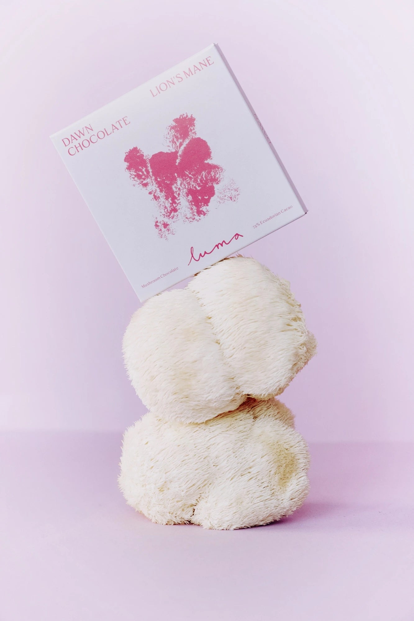 DAWN chocolate pack with its mushroom