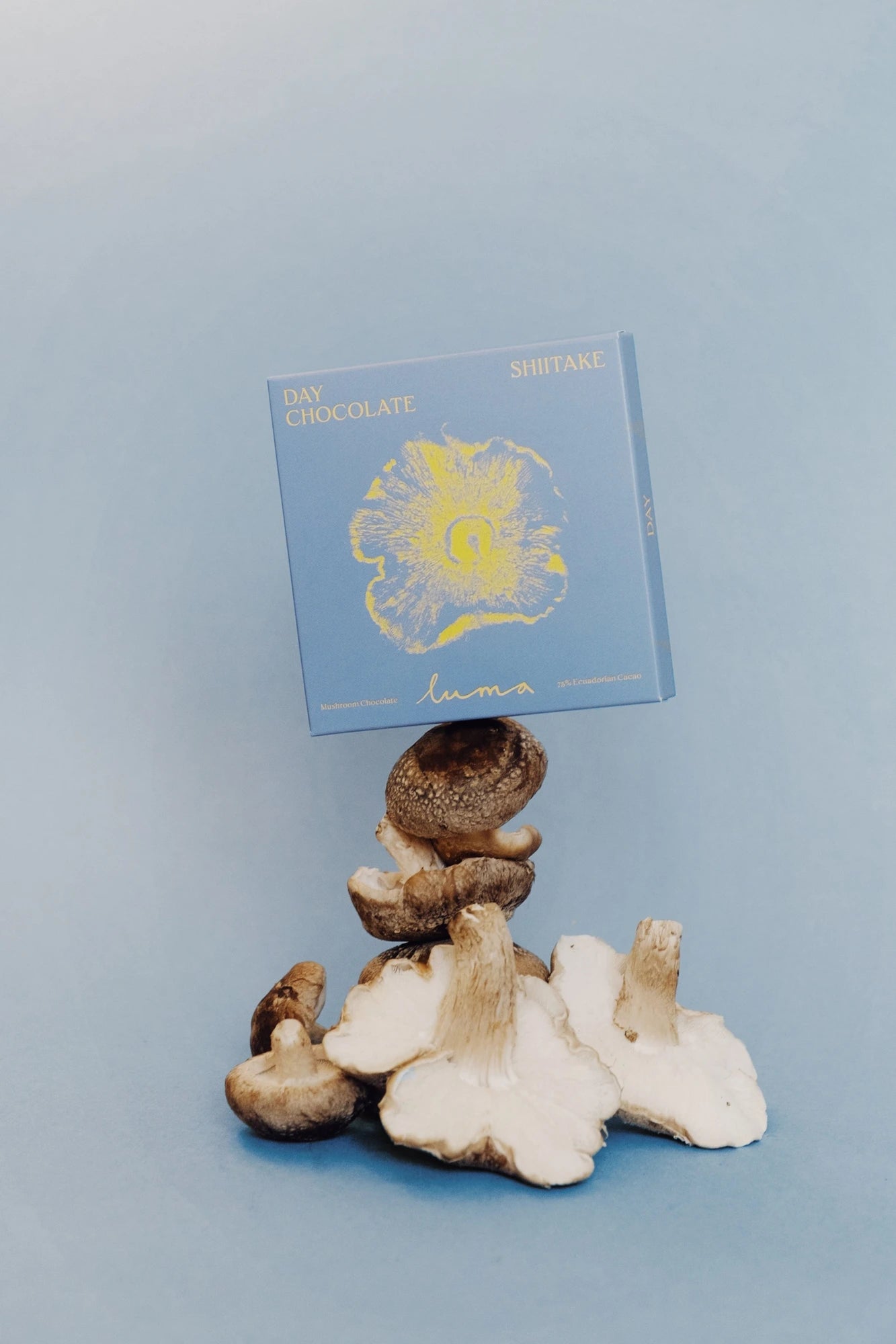 DAY chocolate pack with its mushroom