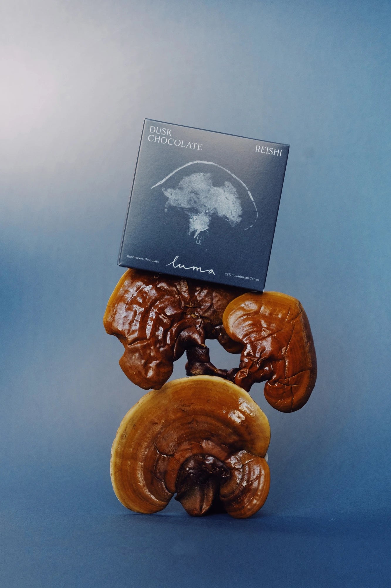 DUSK chocolate pack with its mushroom