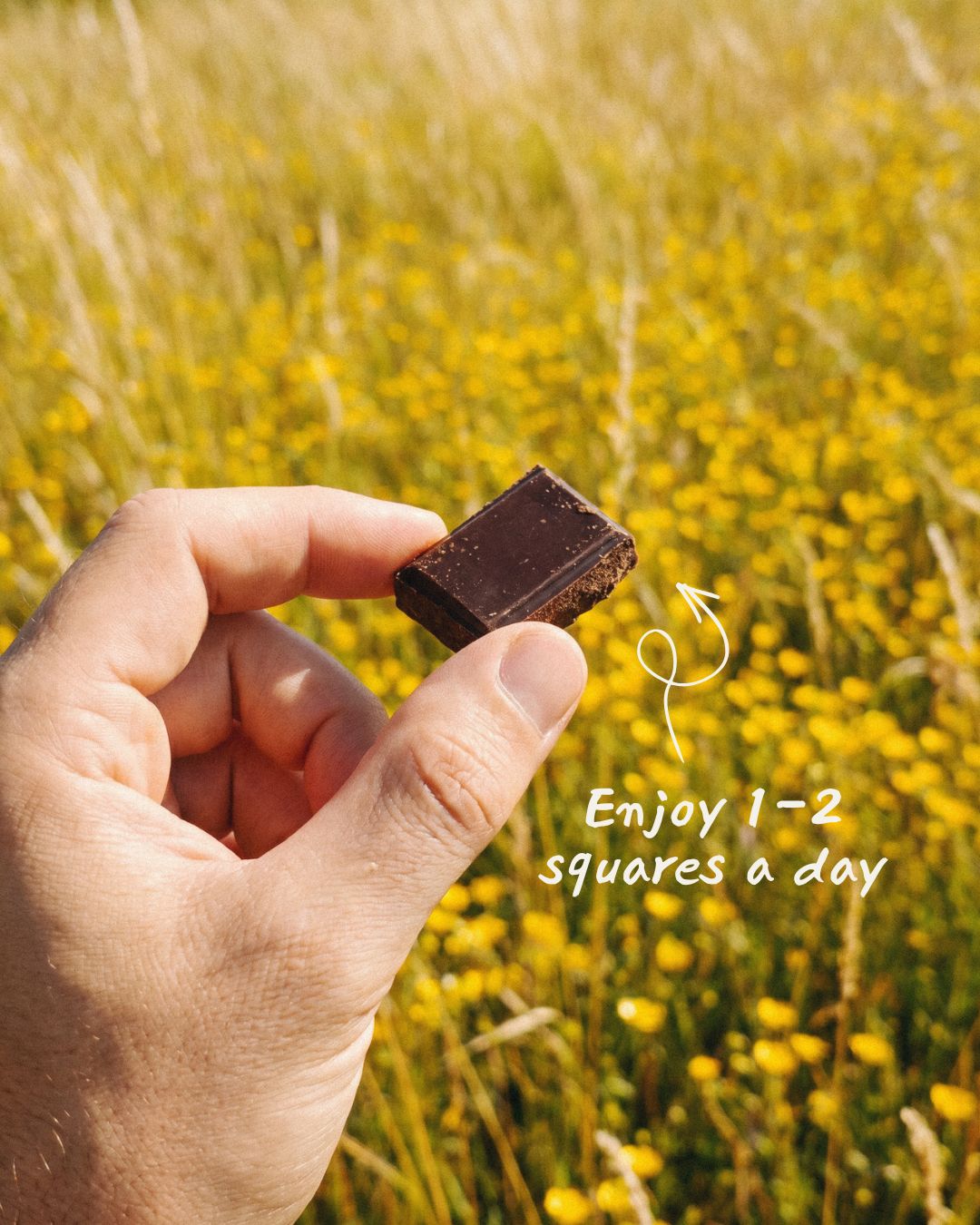 Hand holding a small mushroom chocolate square in front of a field of yellow flowers with text 'Enjoy 1-2 squares a day'.