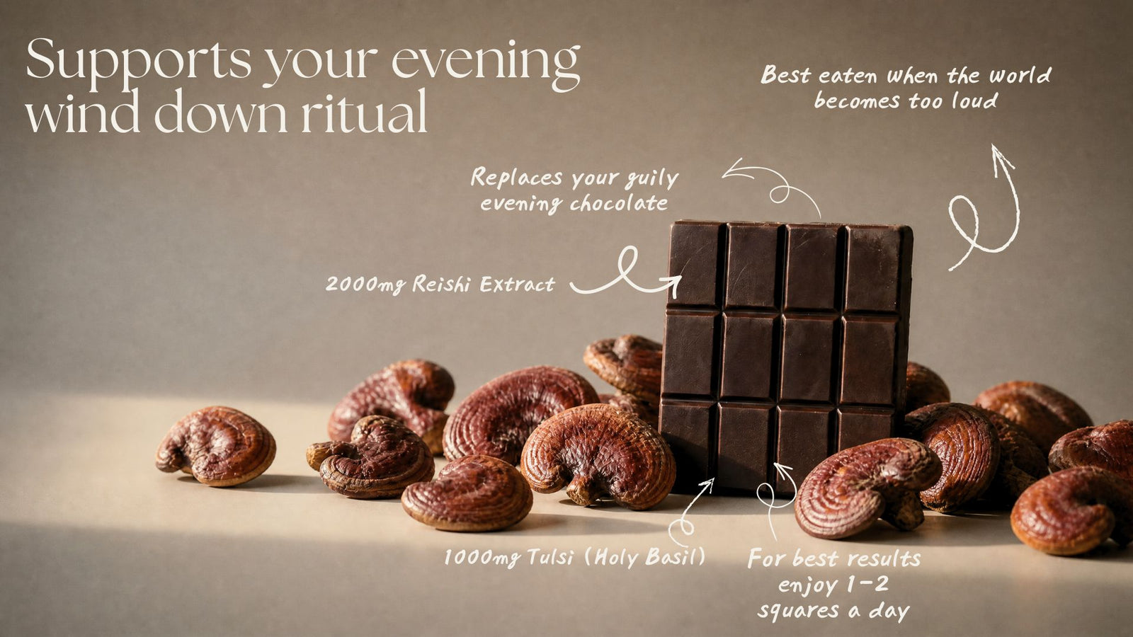 Reishi & Tulsi Chocolate banner