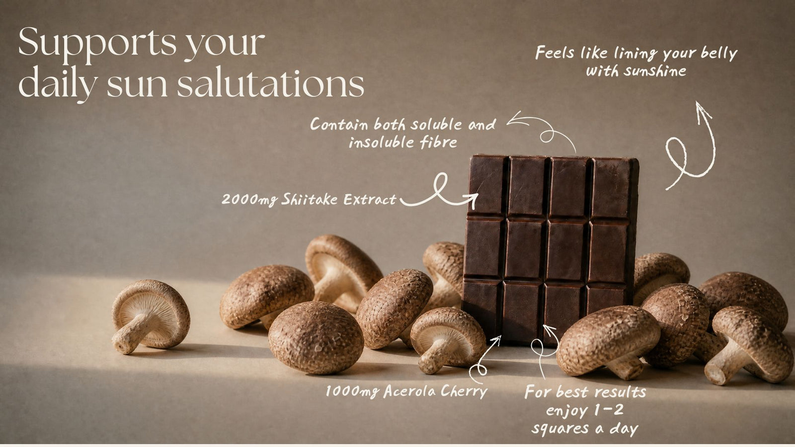 Shiitake & Acerola Cherry Chocolate banner